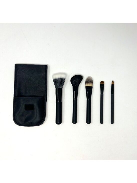 Makeup Madness Other - Face and Eye  Makeup Brush Set & Carry Bag New in box -  5  brush Travel set NEW